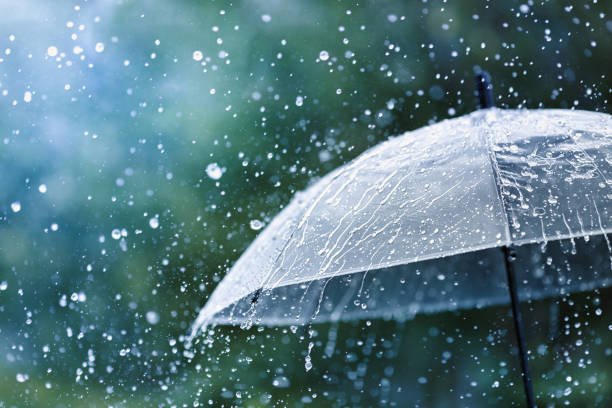 Today Weather Guide: What to Expect and How to Plan Your Day
